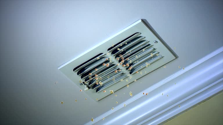 Best Affordable HVAC Duct Cleaning  in Clarkesville, GA