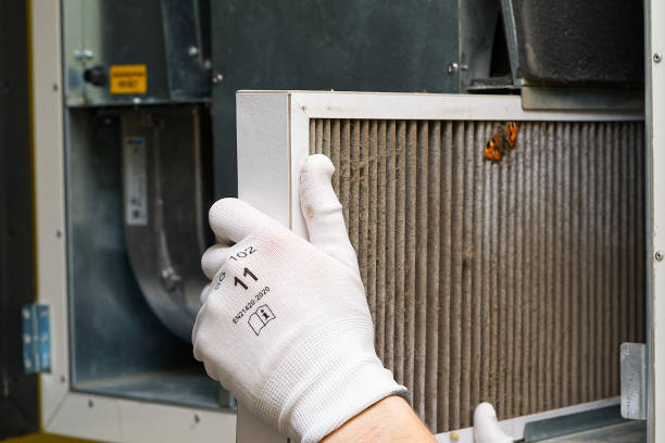 Best Home Air Vent Cleaning  in Clarkesville, GA