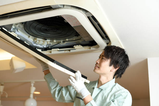 Best Air Duct Inspection  in Clarkesville, GA