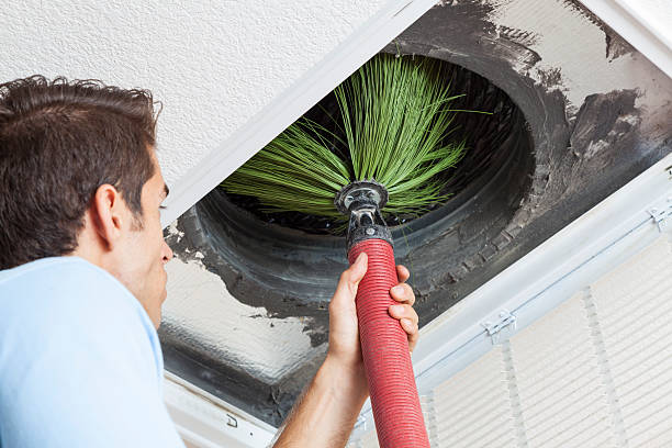 Best Air Vent Cleaning Services  in Clarkesville, GA